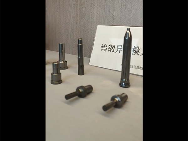 精龙圣视频