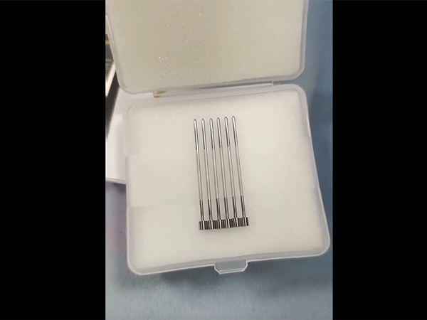 精龙圣视频